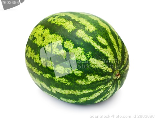 Image of Watermelon
