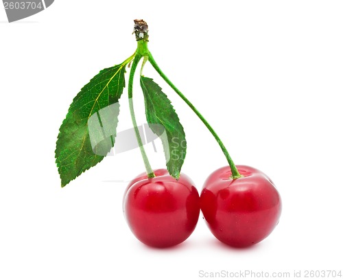 Image of Red cherry