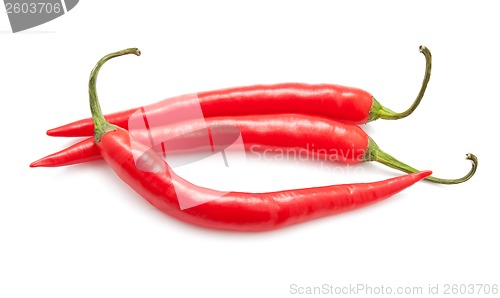 Image of Hot chili pepper
