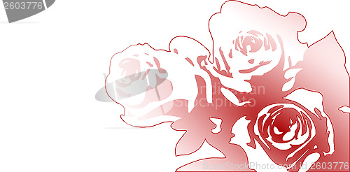 Image of roses drawing on white background