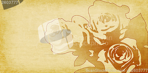 Image of rose drawing on beige paper background