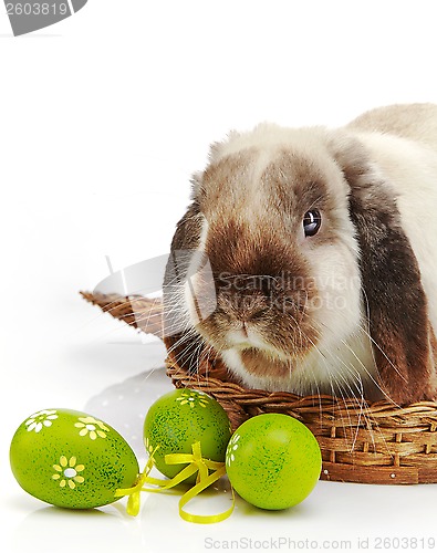 Image of rabbit and Easter eggs