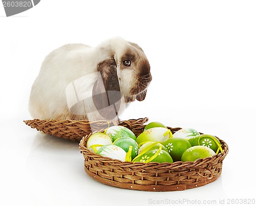 Image of rabbit and Easter eggs