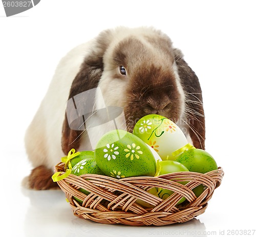 Image of Rabbit and Easter eggs