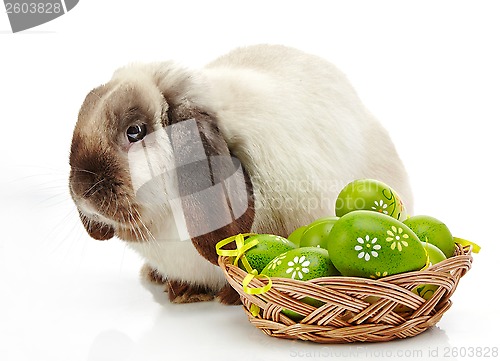 Image of Rabbit and Easter eggs