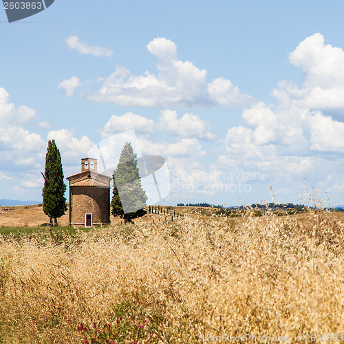 Image of Tuscan country