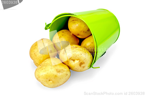 Image of Potato yellow pours from green bucket