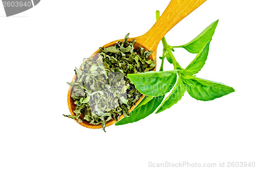 Image of Basil green fresh and dry in a spoon