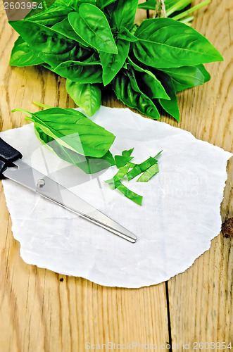Image of Basil green fresh with scissors on a board