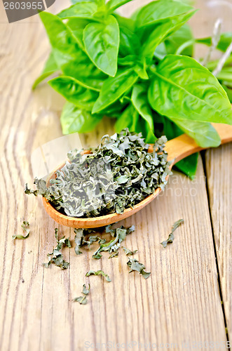 Image of Basil green fresh and dry in a spoon on the board