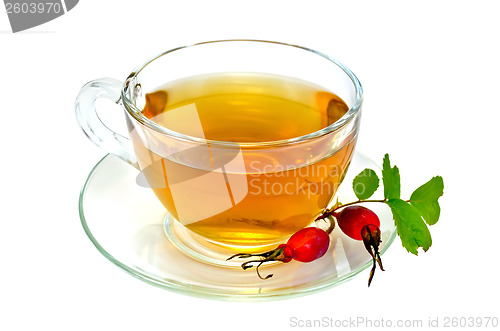 Image of Tea with rosehip in a cup