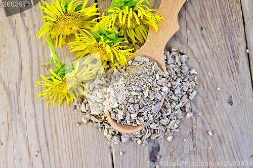 Image of Herbal tea from the root of Elecampane on a spoon on top