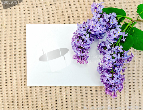 Image of Lilac on sackcloth with paper