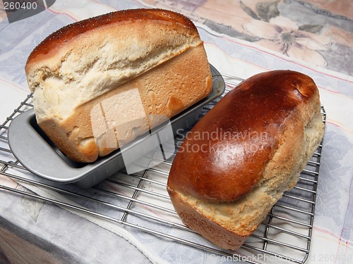 Image of Fresh bread