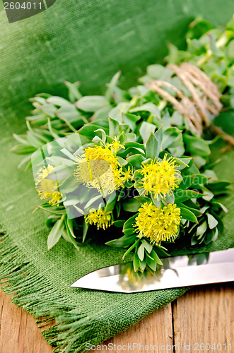 Image of Rhodiola rosea with a knife on the board