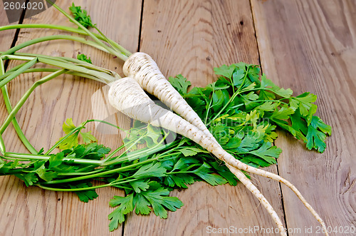 Image of Parsley root on a blackboard