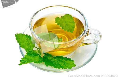 Image of Herbal tea with nettles in a glass cup