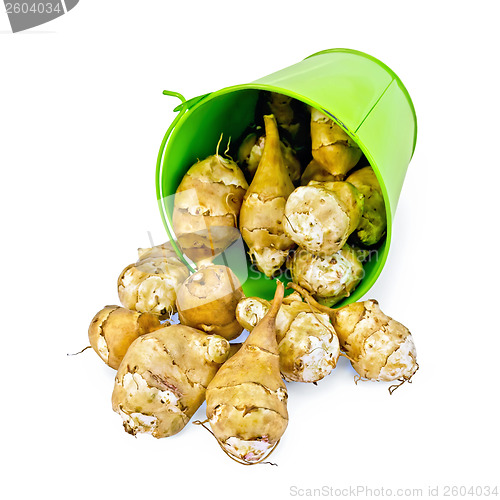 Image of Jerusalem artichoke pours of green bucket