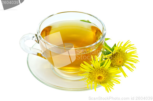 Image of Herbal tea with elecampane in a glass cup