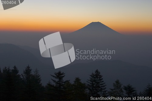 Image of Sunrise with Pine Trees and Mountain