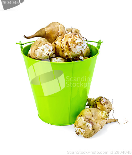 Image of Jerusalem artichokes in a green bucket and on the table