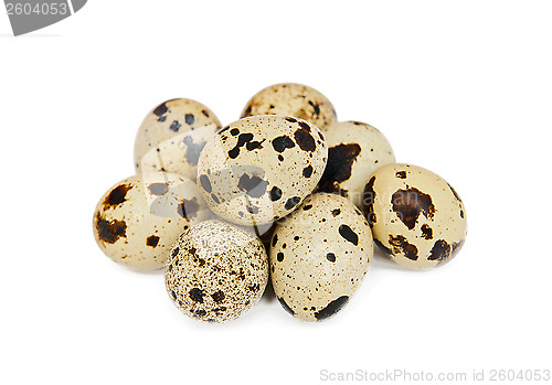 Image of Quail eggs