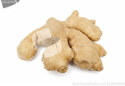 Image of Ginger