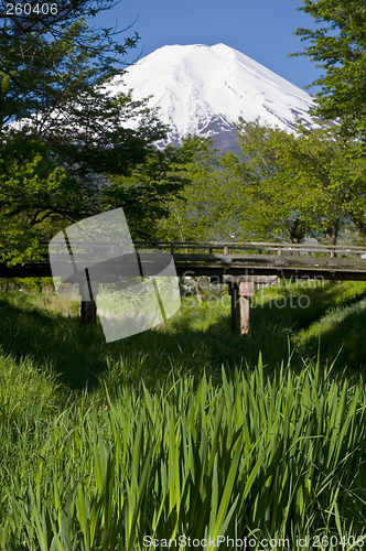 Image of Wooden Bridge