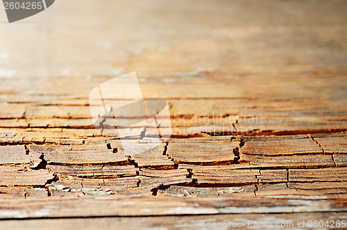 Image of brown grunge old cracked wooden texture, small depth of field