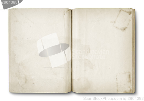 Image of Old stained open book