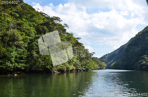 Image of River reflections