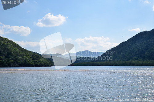 Image of Tropical Jungle River