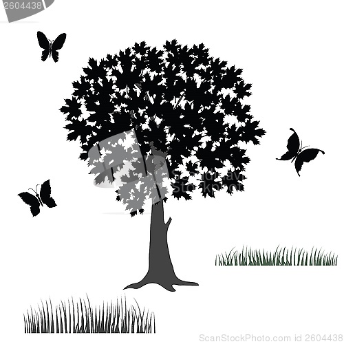 Image of tree and butterflies