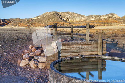 Image of cattle watering hole in Colorado mountains