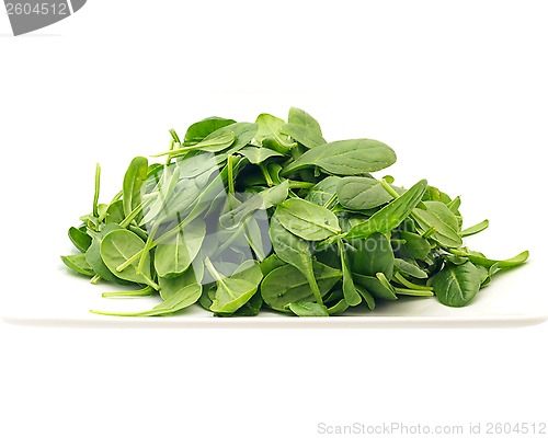 Image of Spinach