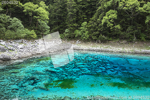 Image of Colorful lake in Jiuzhaigou, Sichuan