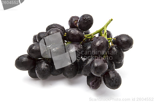 Image of Grapes