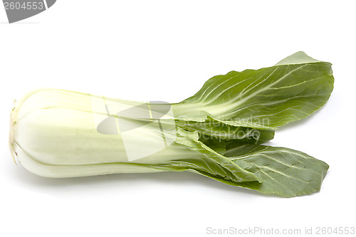 Image of chinese cabbage