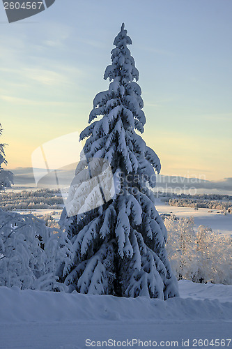 Image of winter landscape