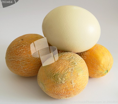 Image of Odd one out