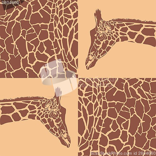 Image of Giraffe patterns beige and brown