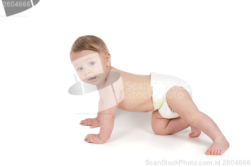 Image of Side view of little crawling baby