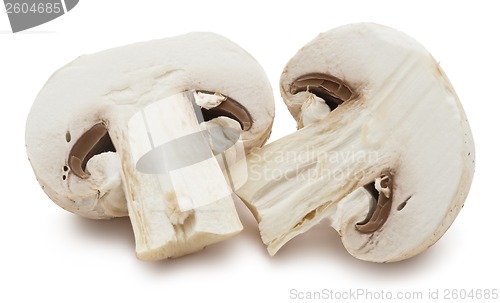 Image of Champignon mushrooms