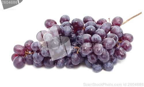 Image of Grapes