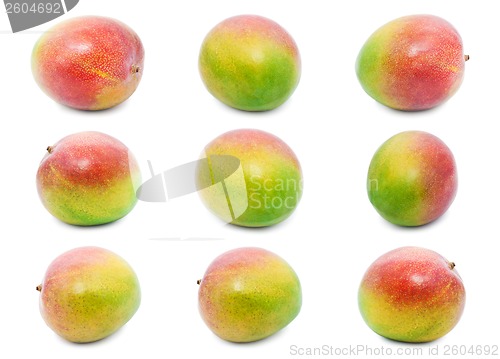 Image of Mango