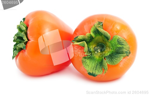 Image of Persimmon