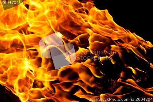 Image of Fire