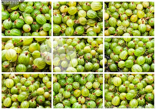 Image of Gooseberries