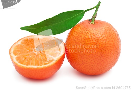 Image of Tangerines