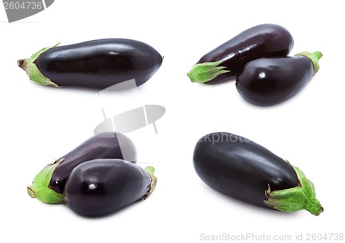 Image of Aubergine